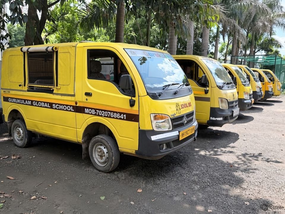 The school vans lined up under the trees